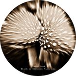 Portada para "Electric-Chemical Mushrooms"