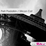 Artwork for "Silicon Cat"