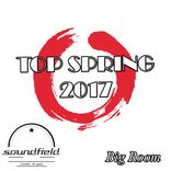 Artwork für "Big Room Top Spring 2017"