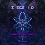 Beyond Matter