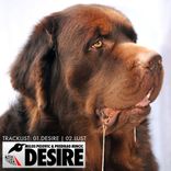 Artwork for "Desire"