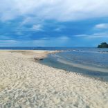 Artwork for "Amapiano Collective 3"