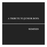 Artwork for "A Tribute To Junior Boys"
