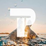 Artwork voor "Float"