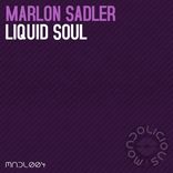 Artwork for "Liquid Soul"