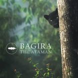 Bagira