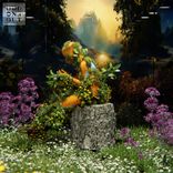 Portada para "Encounters"