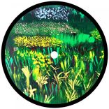 Portada para "GOING TO THE PARK"