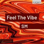 Artwork for "Feel The Vibe"