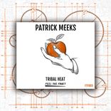 Artwork for "Tribal Heat"