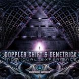 Artwork for "Individual Experience"