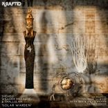 Portada para "Solar Warden"