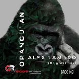 Artwork for "Orangutan"