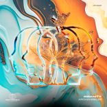 Portada para "Insanity"