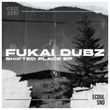 Artwork voor "Shifted Place"