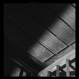 Destined To Extinction