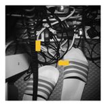 The Biggest Pig in Barbados