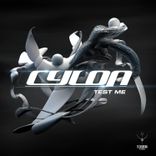 Artwork voor "Test Me"