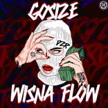 Artwork voor "Wisna Flow"