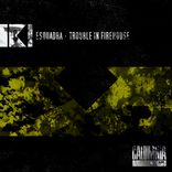 Artwork for "Trouble In Firehouse"