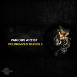 Artwork for "Polygonized Tracks 2"