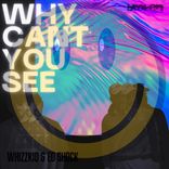 Artwork for "Why Can't You See"