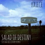 Artwork for "Salad of Destiny"