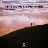 Artwork for "This Love Never Dies"