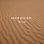 Portada para "Brain Destroy"