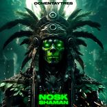 Portada para "Shaman"