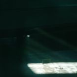 Forgive But Don't Forget