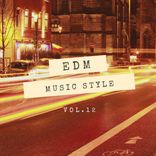 Artwork für "SLiVER Recordings: EDM Music Style, Vol.12"