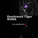 Artwork for "OneArmed Tiger Nuna"