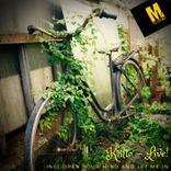 Open Your Mind and Let Me In