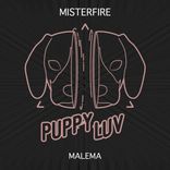 Artwork voor "Malema"