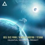 Artwork für "Celestial"