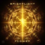 Artwork für "Flower"