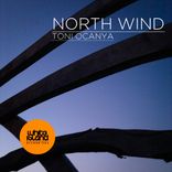 Artwork for "North Wind"