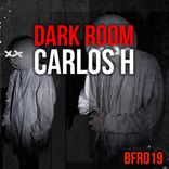 Portada para "The Dark Room"