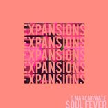 Artwork for "Soul Fever"