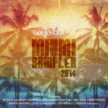 Artwork for "Celestial Recordings Miami Sampler 2014"