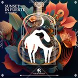 Artwork voor "Sunset in Fuerte"