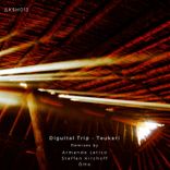 Eclipse De Obsidiana