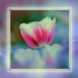 Artwork for "Prompt"