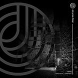 Portada para "Distortion / Different"