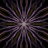 Artwork für "Dark Light"