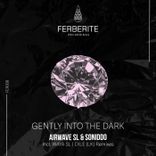 Gently Into the Dark (WAYA (SL) Remix)