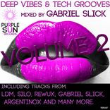 Deep Vibes & Tech Grooves Vol. 2