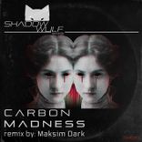 Portada para "Madness"