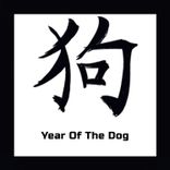 Year of the Cat